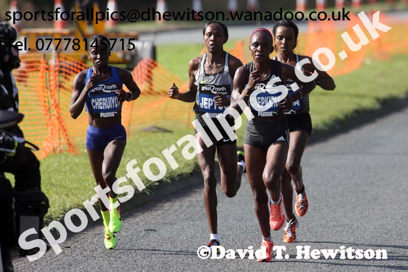 Womens Great North Run. Photo: David T. Hewitson/Sports for All Pics